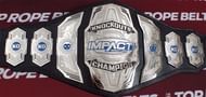 Impact Wrestling Champions